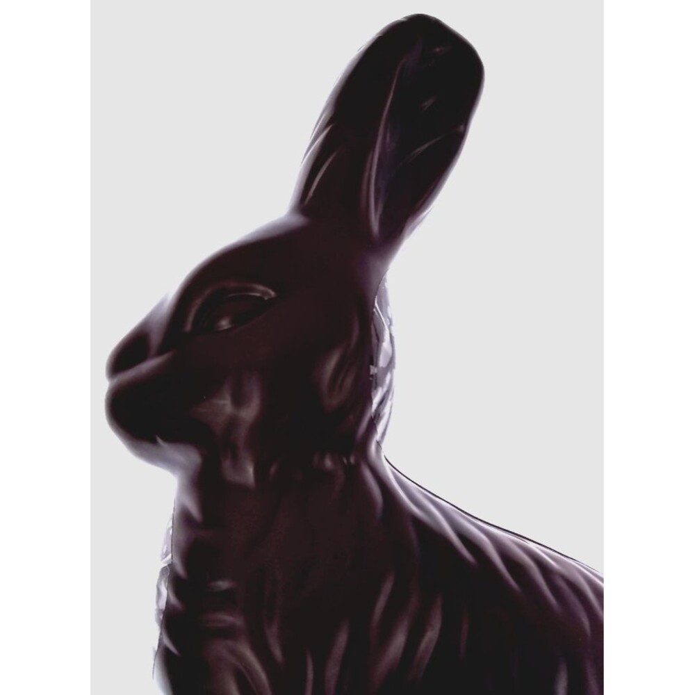 Figural Chocolate Bunny Easter Egg Rabbit Plastic Treat Case Container Animal 4+